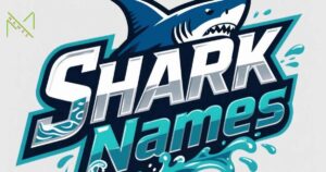Shark Team Names
