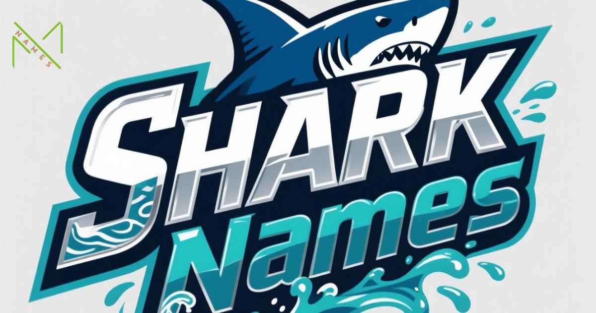 Shark Team Names